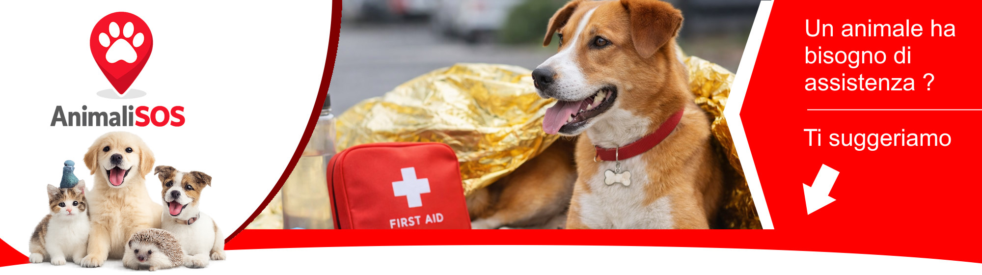 Centrale operativa AnimaliSOS